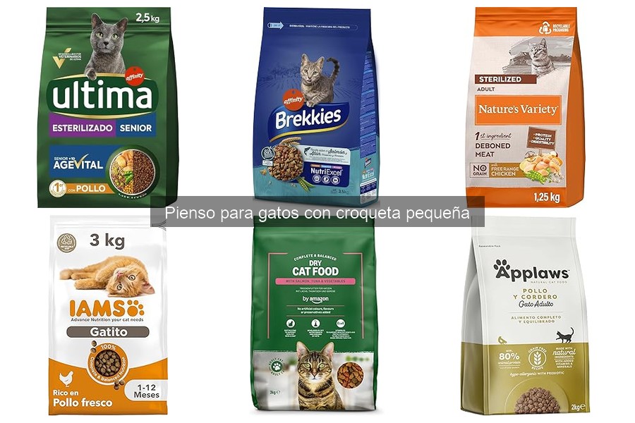 Pienso para Gatos: Comparativa de Croquetas Pequeñas y Grandes