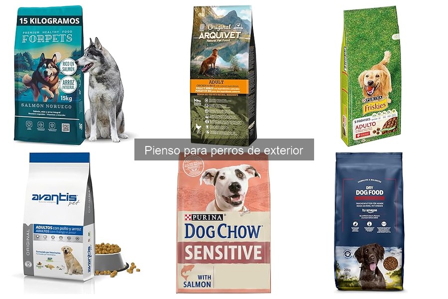** Pienso para perros de exterior: ¿Qué es y por qué es importante?
