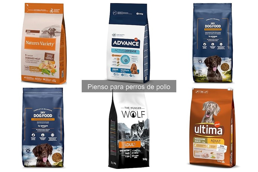 Pienso para perros de pollo vs. res: ¿cuál elegir?