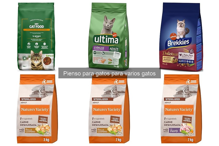 Piensos especializados para gatos con alergias alimentarias