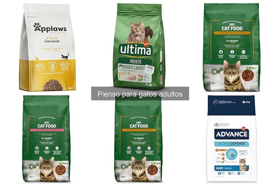 Piensos para gatos adultos con alergias: guía de compra