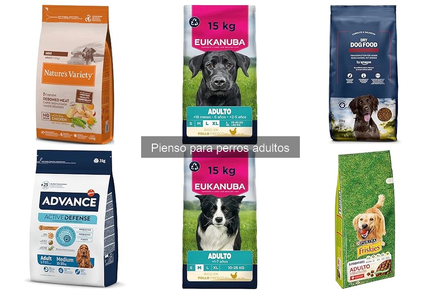 Piensos para perros adultos con alergias alimentarias