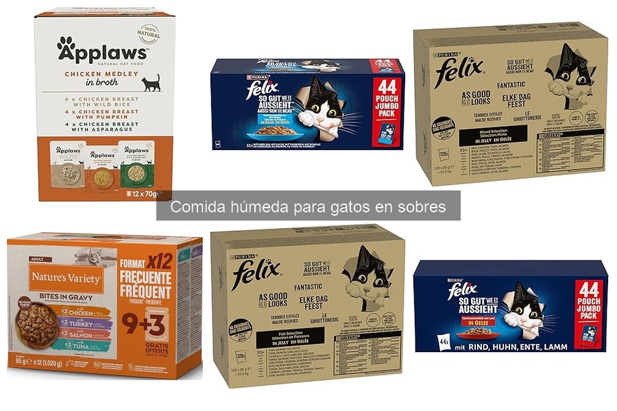 ¿Por qué a mi gato no le gusta la comida húmeda en sobres?