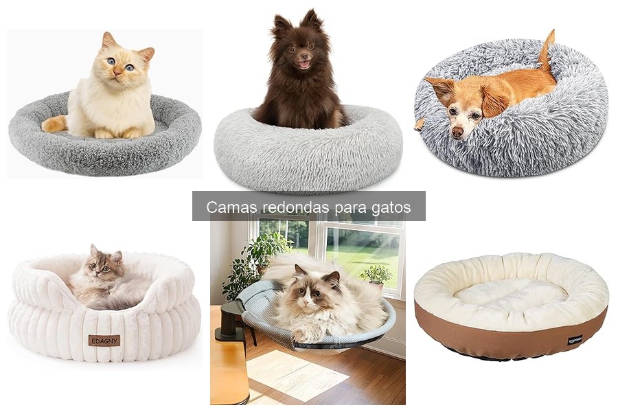 ¿Por qué elegir una cama redonda para gatos?
