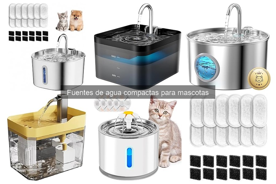 ¿Por qué las mascotas prefieren fuentes de agua a los cuencos?