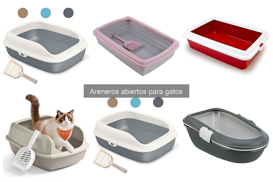 ¿Por qué los gatos prefieren areneros abiertos? Descubre por qué