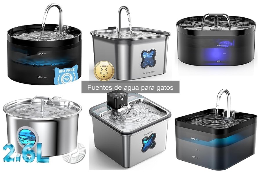 ¿Por qué mi gato no bebe de la fuente de agua? Soluciones