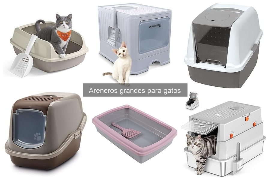 ¿Por qué mi gato no usa el arenero grande? Causas y soluciones