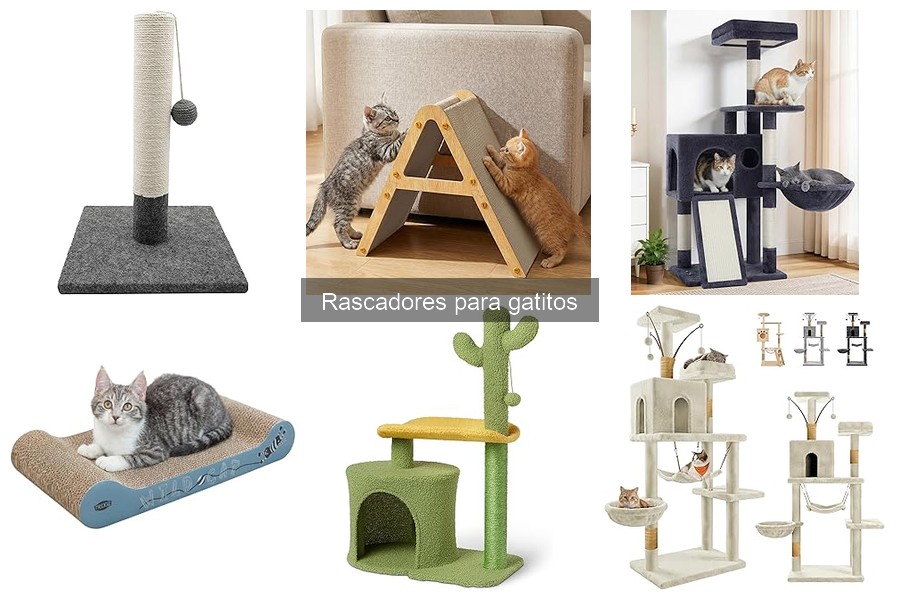 ¿Por qué mi gato no usa el rascador? Soluciones efectivas