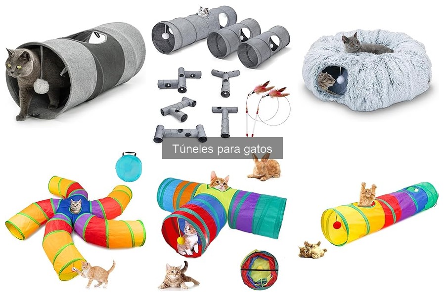 ¿Por qué mi gato no usa el túnel? Soluciones efectivas