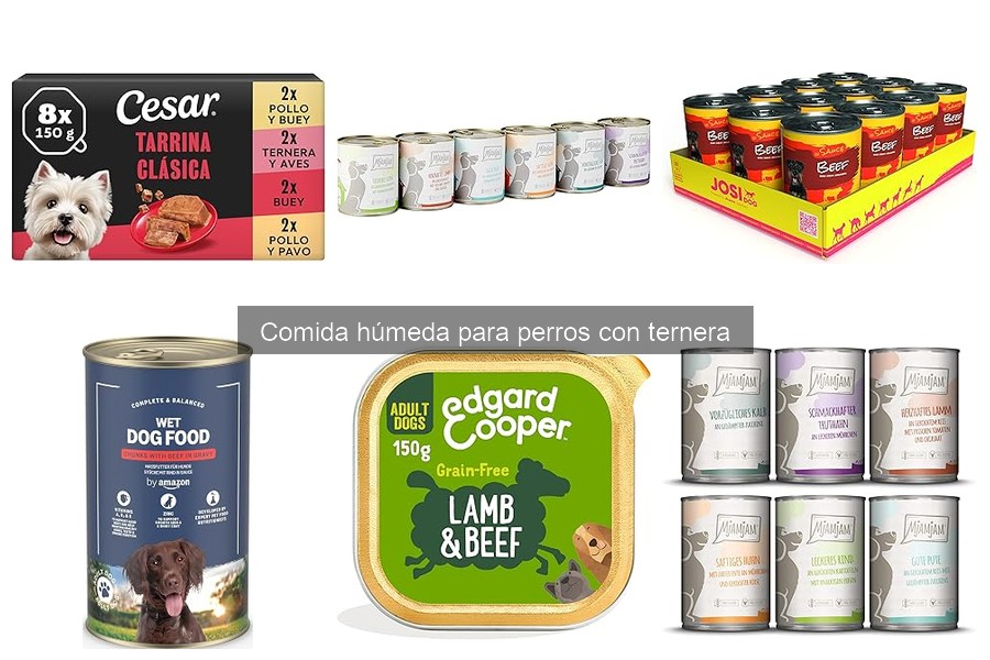 Precio medio comida húmeda para perros con ternera
