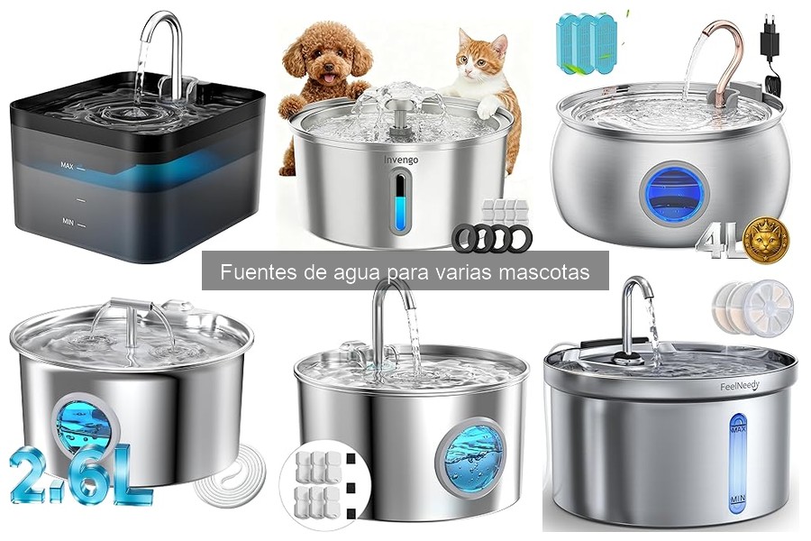 Precio promedio de fuentes de agua para perros y gatos