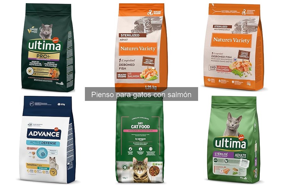 Precio promedio del pienso para gatos con salmón