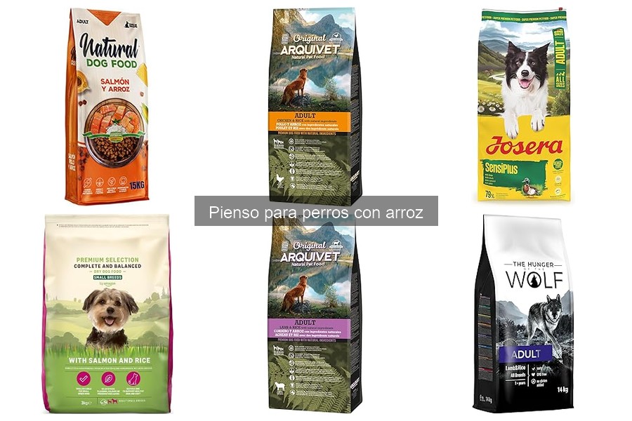 Precio promedio del pienso para perros con arroz