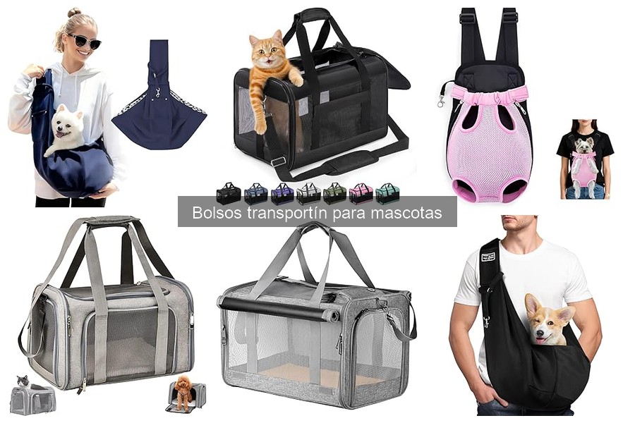 Precios de Bolsos Transportín para Mascotas: Guía Completa