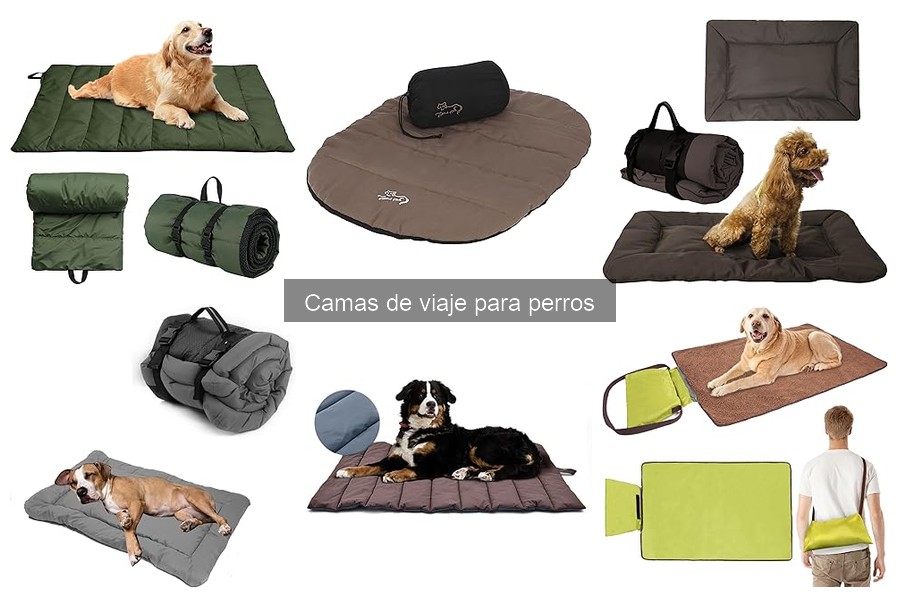 Precios de camas de viaje para perros: guía completa