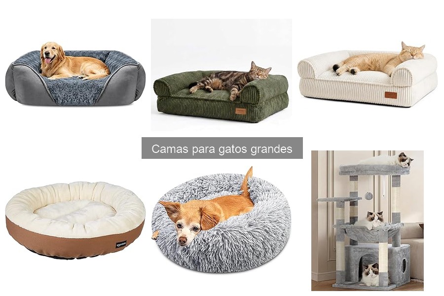Precios de camas para gatos grandes: guía y opciones