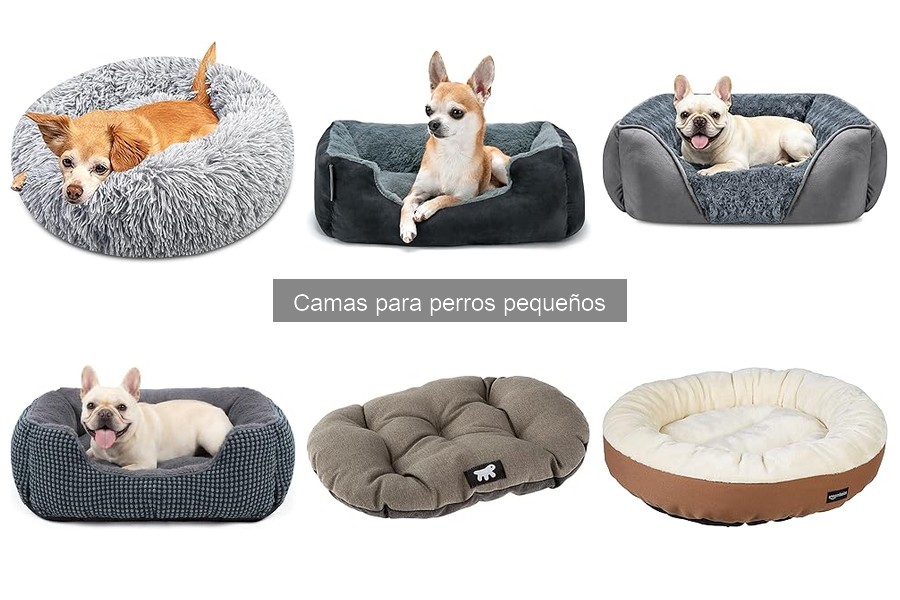 Precios de camas para perros pequeños: guía de costos