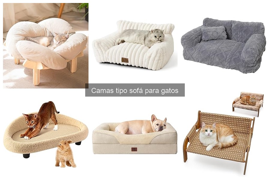 Precios de camas tipo sofá para gatos: guía de opciones