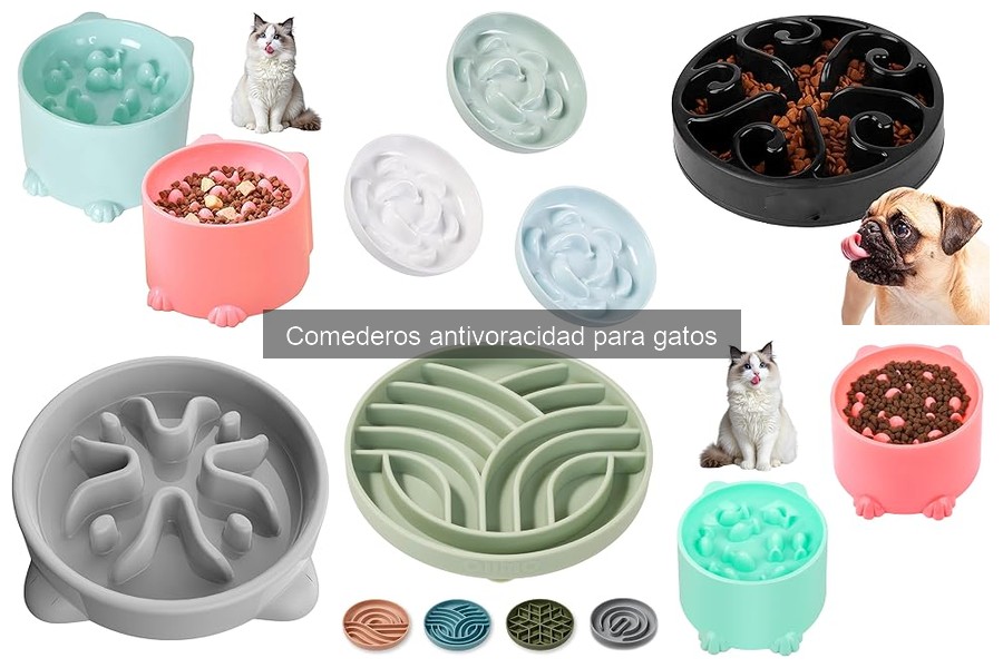Precios de Comederos Antivoracidad para Gatos en 2023
