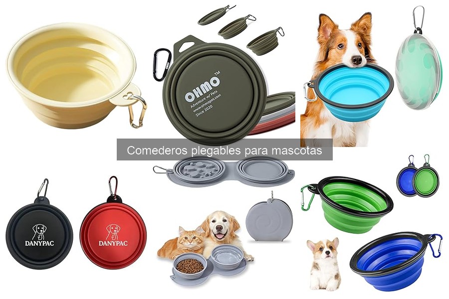 Precios de Comederos Plegables para Mascotas: Guía 2023