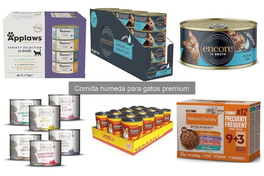 Precios de comida húmeda para gatos premium: ¿cuánto cuesta?