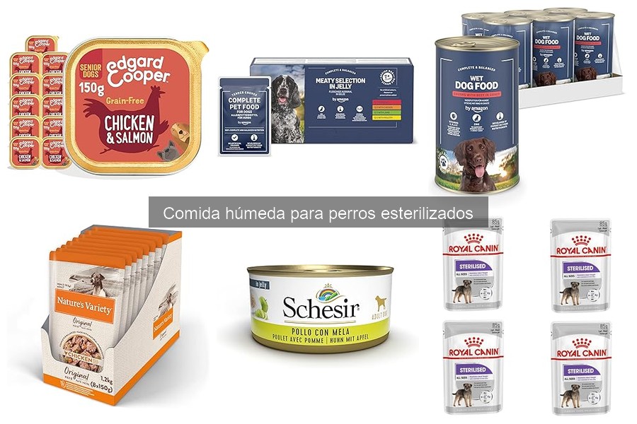 Precios de comida húmeda para perros esterilizados