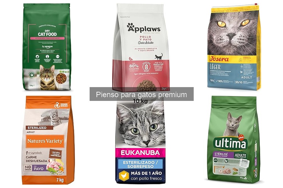Precios del Pienso para Gatos Premium y Dónde Comprar