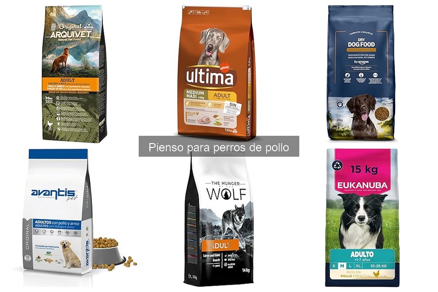 Precios del pienso para perros de pollo: Comparativa y tiendas