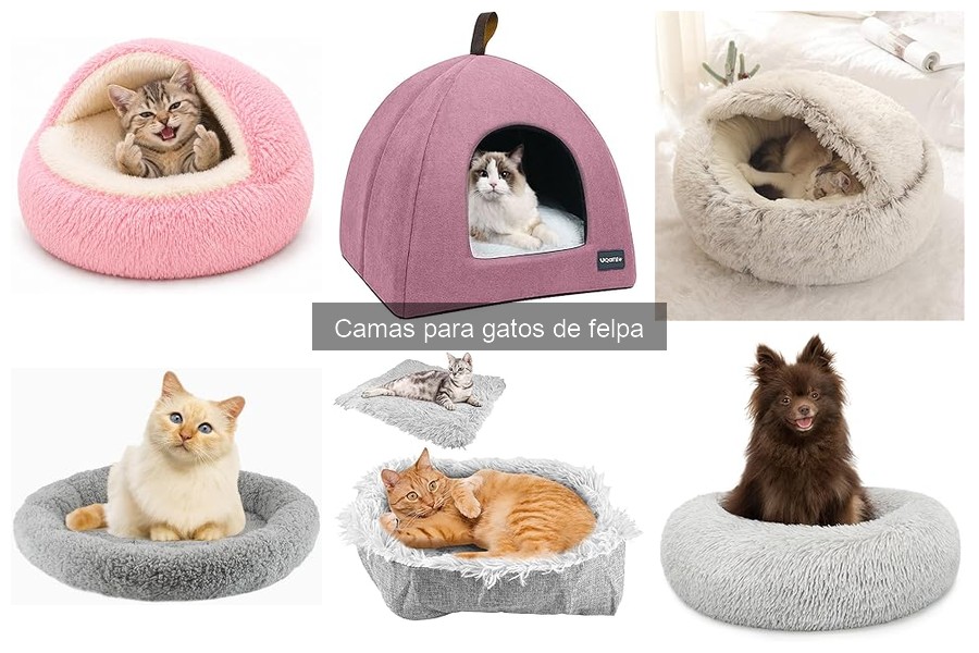 Precios Promedio de Camas de Felpa para Gatos