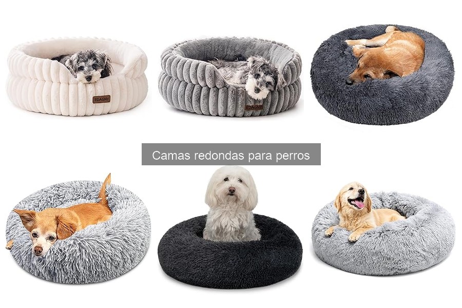 Precios y Dónde Comprar Camas Redondas para Perros