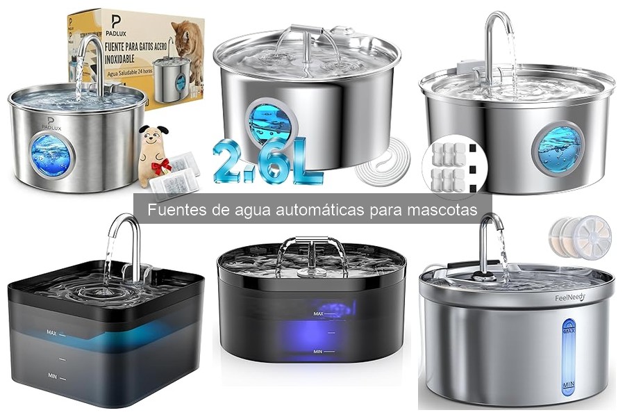Precios y Dónde Comprar Fuentes de Agua Automáticas para Mascotas