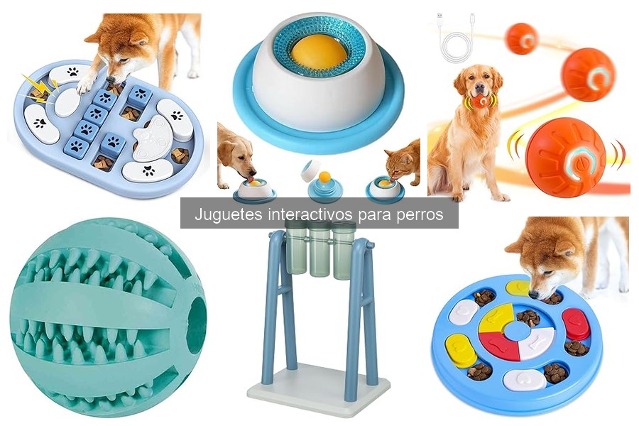 Precios y Dónde Comprar Juguetes Interactivos para Perros