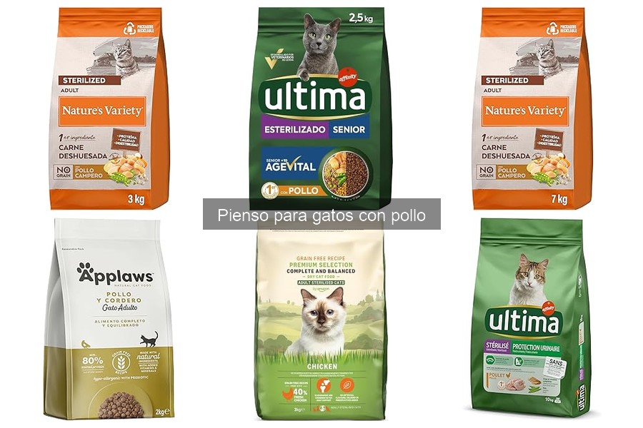 Precios y Dónde Comprar Pienso para Gatos con Pollo