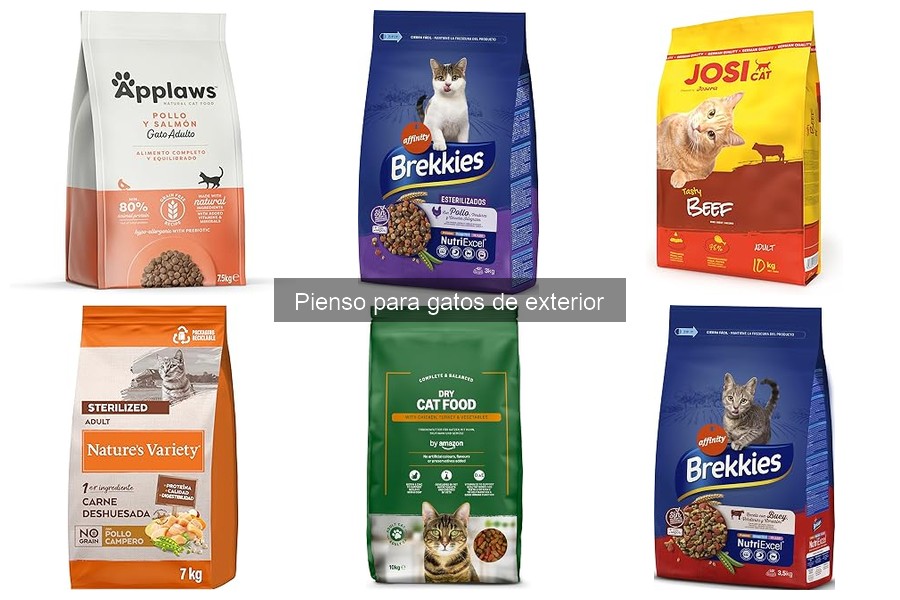 Precios y Dónde Comprar Pienso para Gatos de Exterior