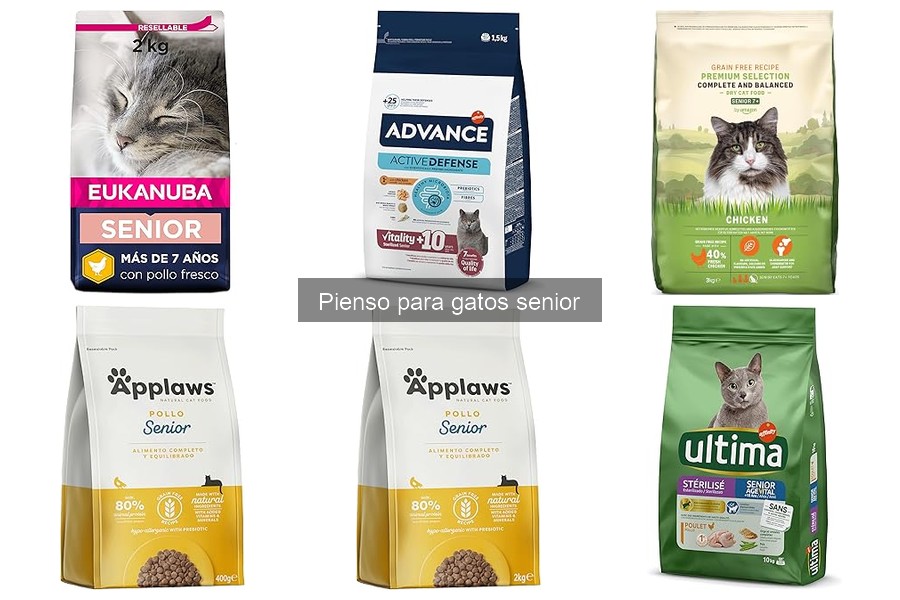 Precios y tiendas para comprar pienso para gatos senior