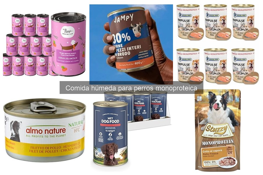 Preguntas frecuentes sobre comida húmeda monoproteica para perros