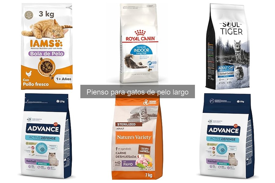 Problemas al alimentar a gatos de pelo largo con pienso