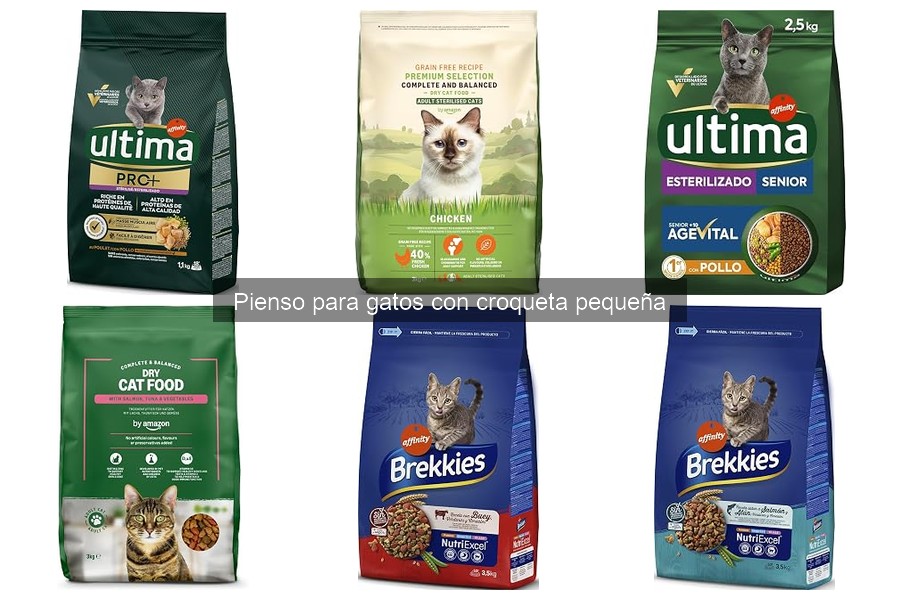 Problemas al cambiar a pienso de croqueta pequeña para gatos