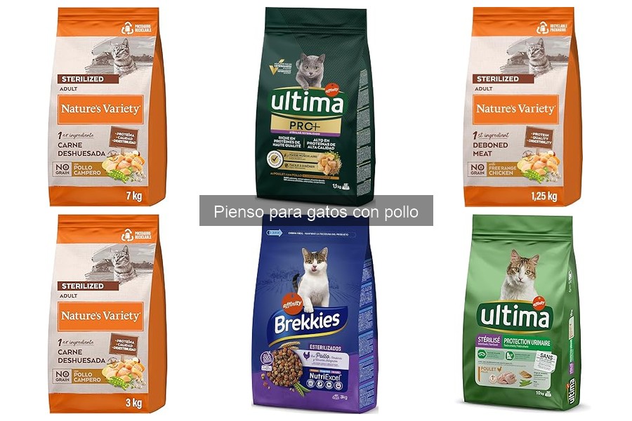 Problemas al cambiar a pienso de gato con pollo