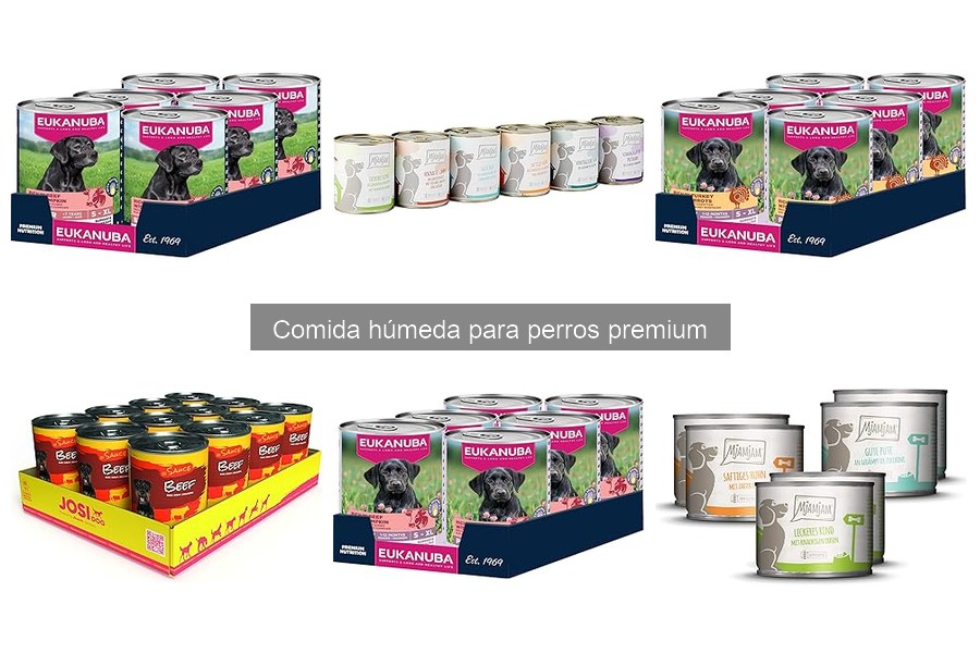 Problemas al introducir comida húmeda en la dieta de tu perro