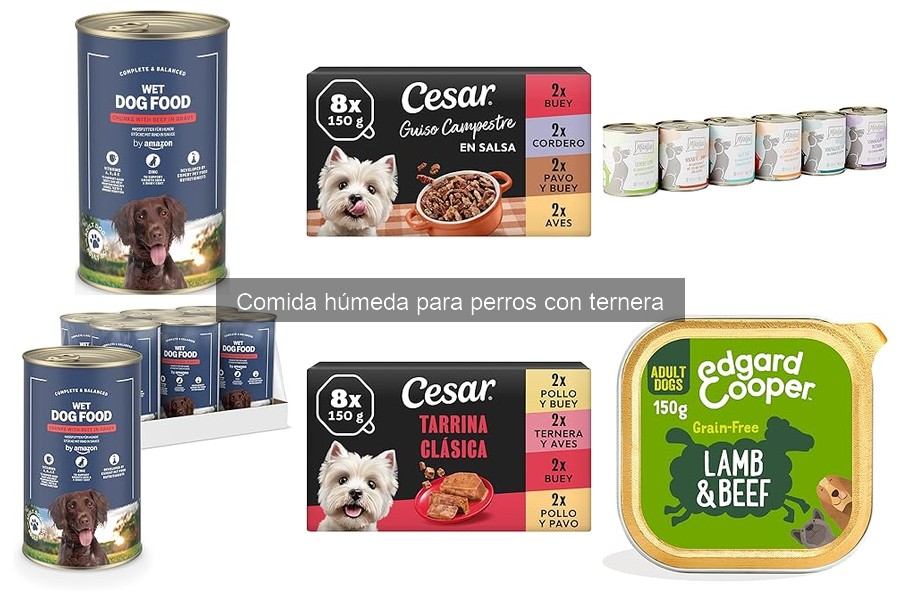 ** Problemas Comunes al Alimentar a Perros con Comida Húmeda