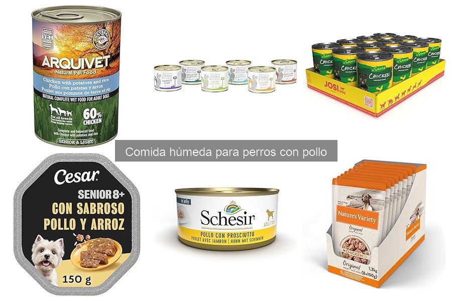Problemas comunes al alimentar perros con comida húmeda de pollo