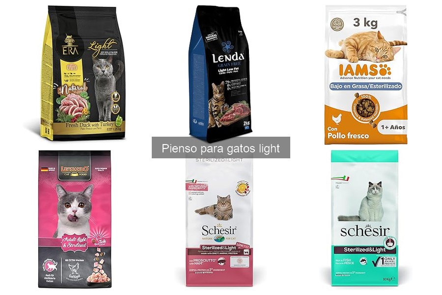 Problemas comunes al cambiar a pienso light para gatos