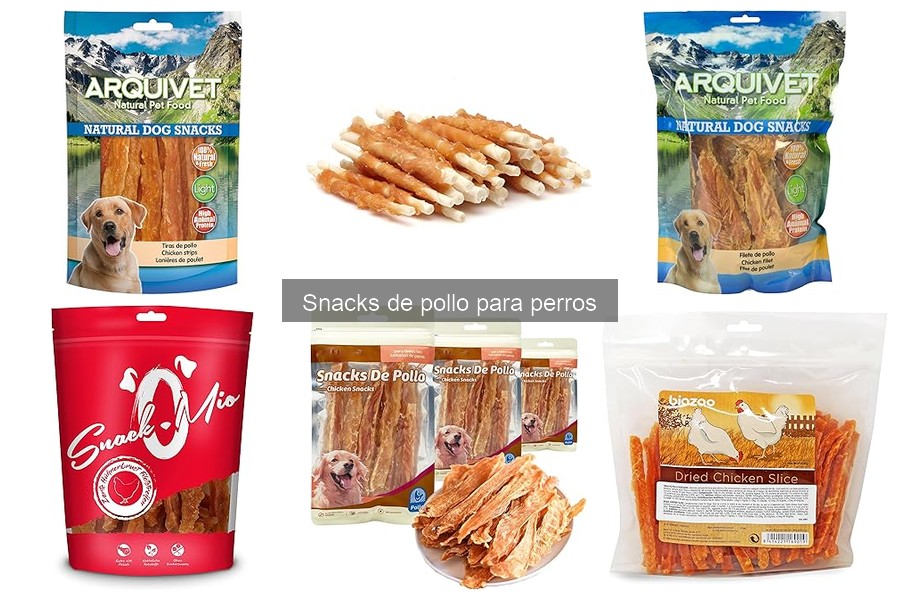 Problemas comunes al dar snacks de pollo a los perros