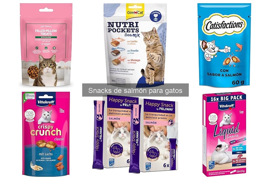 Problemas comunes al dar snacks de salmón a gatos