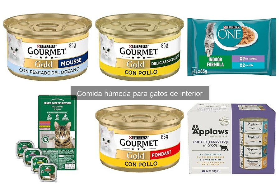 Problemas comunes al introducir comida húmeda para gatos