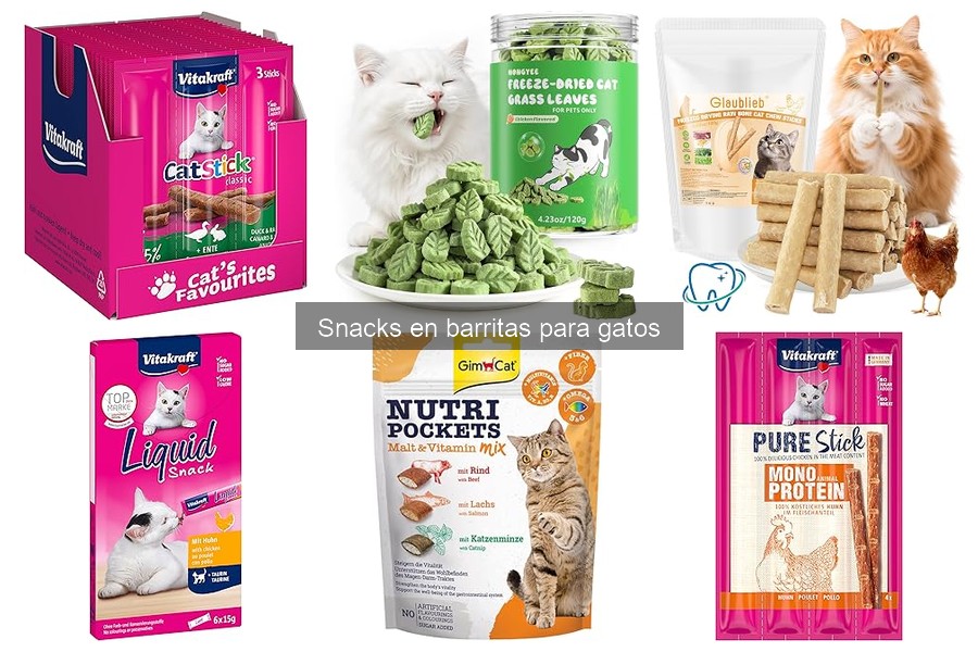 Problemas Comunes al Introducir Snacks en Barritas para Gatos