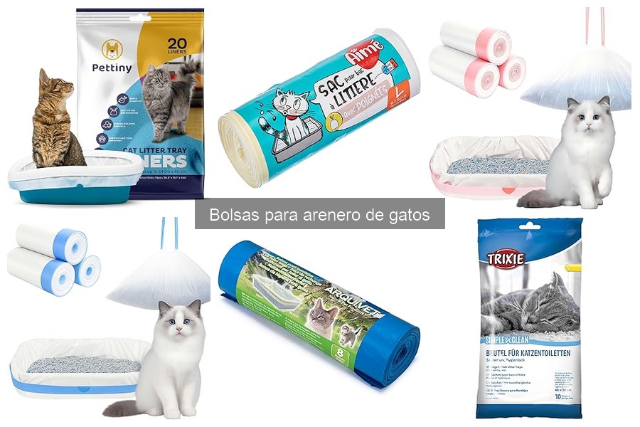 Problemas comunes al no usar bolsas para arenero de gatos