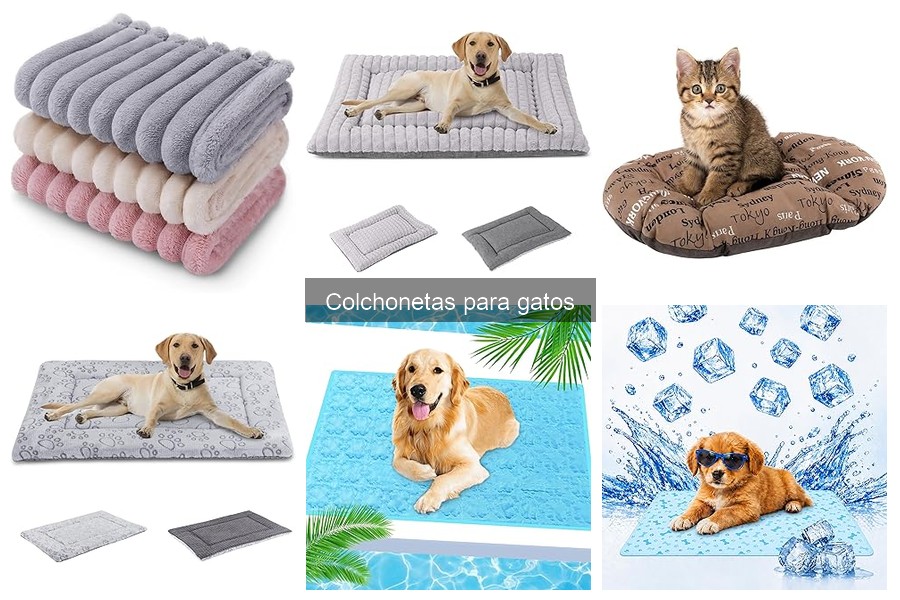 Problemas comunes al usar colchonetas para gatos y soluciones